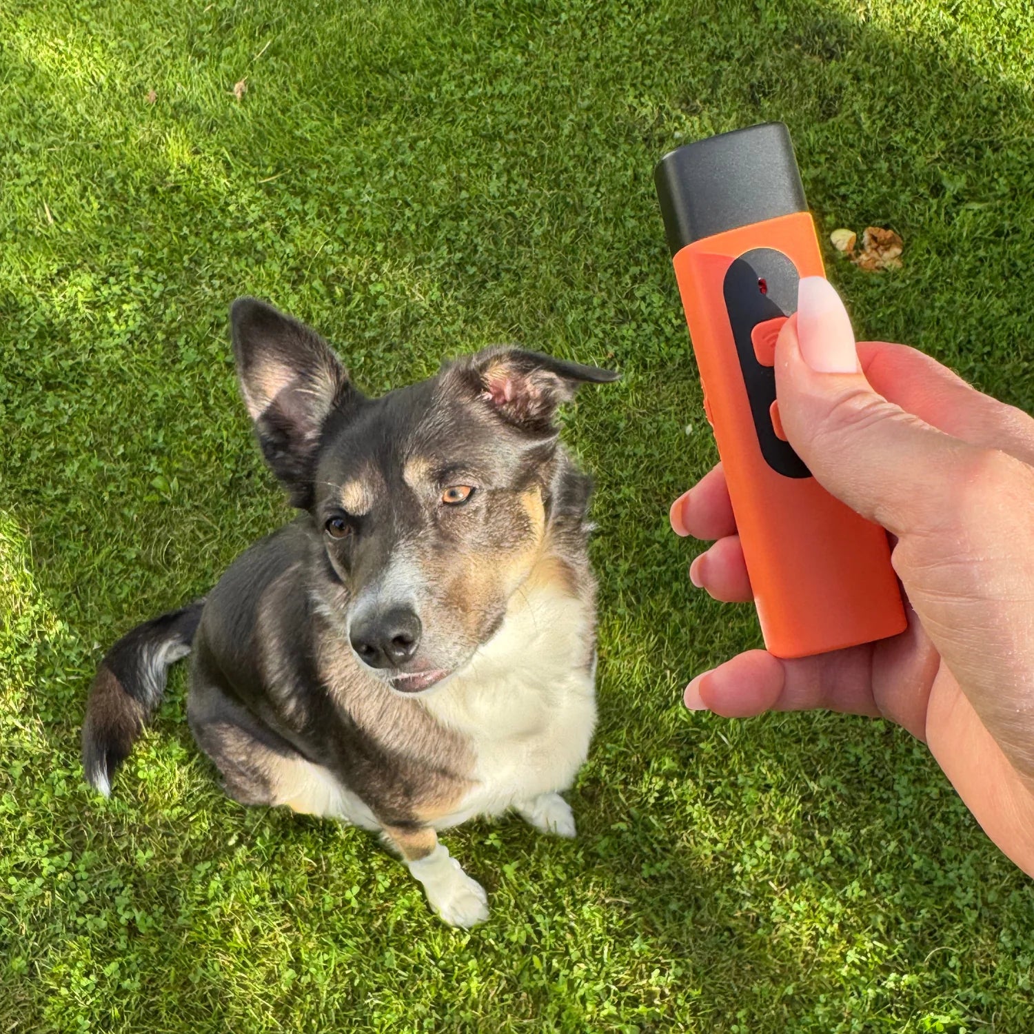 So funktioniert BarkStop 🐾