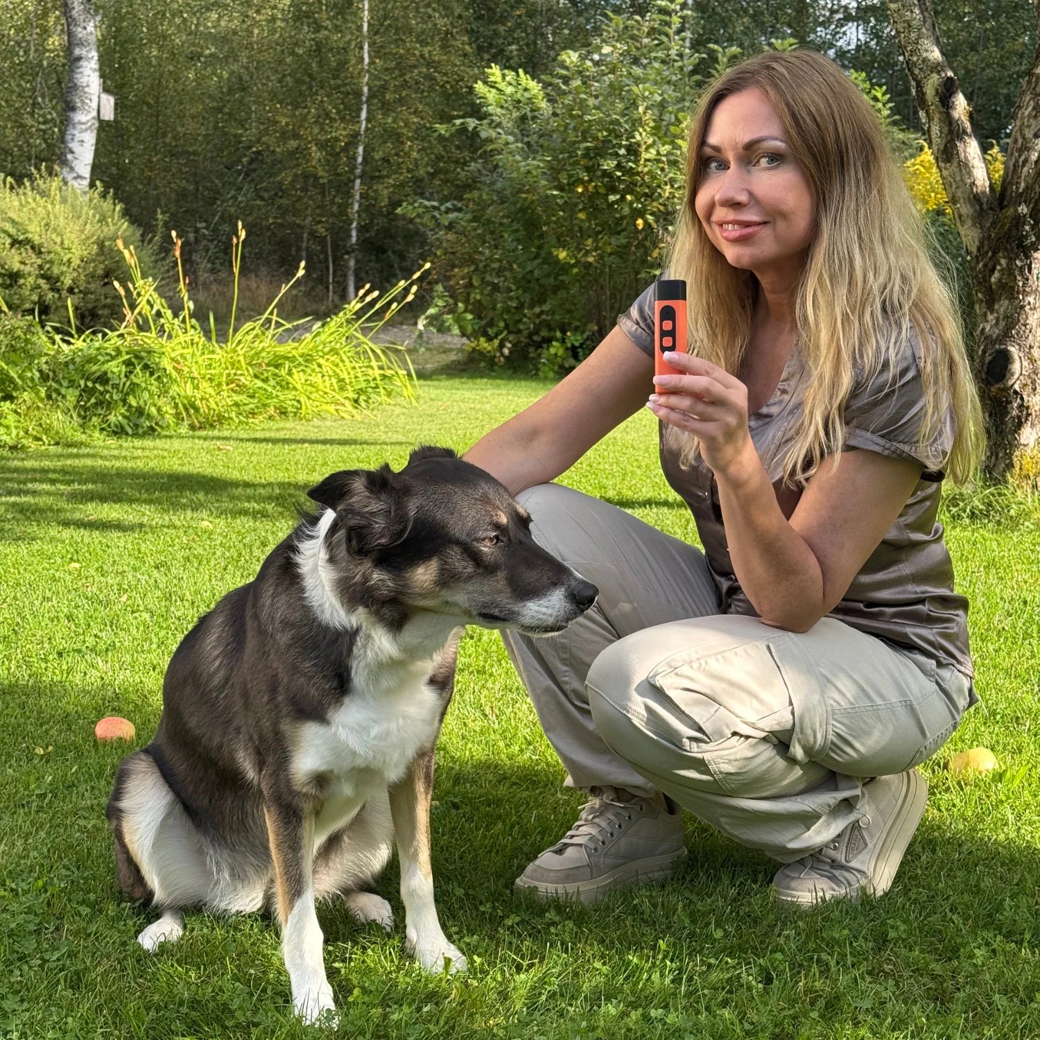 Warum funktioniert BarkStop? 🐾